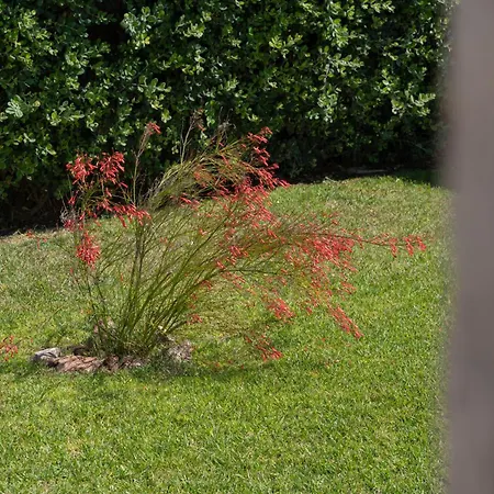 Alghero Vacation Rentals Pedra Mea Villa Alghero