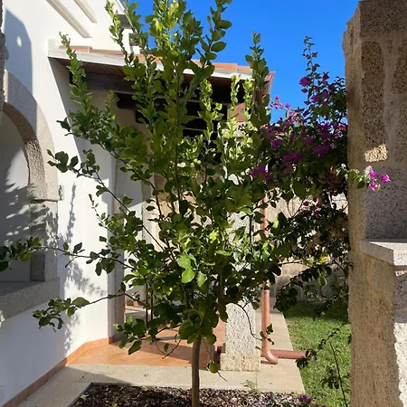 Vacation Pedra Mea Villa Alghero