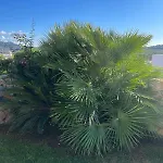 Villa Vacation Pedra Mea *