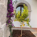 Vacation Pedra Mea Villa *